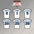 Tennessee Titans 2025 Away Jersey Magnets (Choose Your Player) Page 1