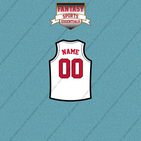 Toronto Raptors Personalized Current Away Jersey Car Decals