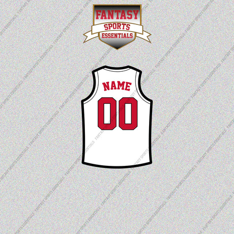 Toronto Raptors Personalized Current Away Jersey Glossy Stickers