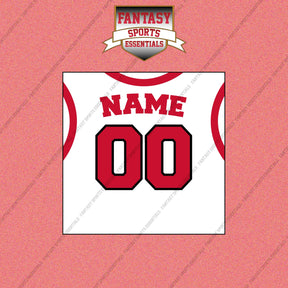 Toronto Raptors Personalized Current Away Jersey Wall Art Prints