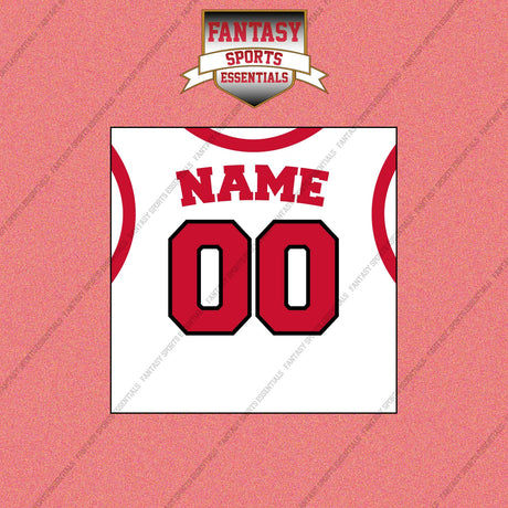 Toronto Raptors Personalized Current Away Jersey Wall Art Prints