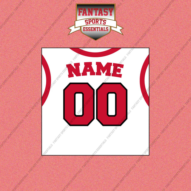 Toronto Raptors Personalized Current Away Jersey Wall Art Prints