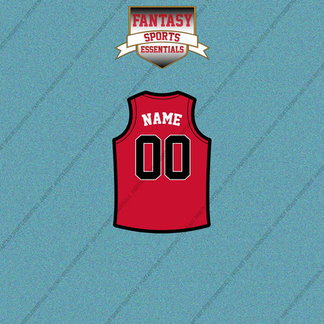 Toronto Raptors Personalized Current Home Jersey Car Decals