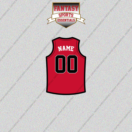 Toronto Raptors Personalized Current Home Jersey Glossy Stickers