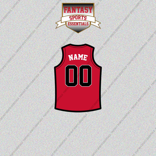Toronto Raptors Personalized Current Home Jersey Glossy Stickers