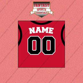 Toronto Raptors Personalized Current Home Jersey Wall Art Prints