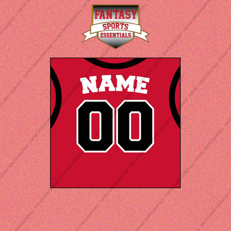 Toronto Raptors Personalized Current Home Jersey Wall Art Prints
