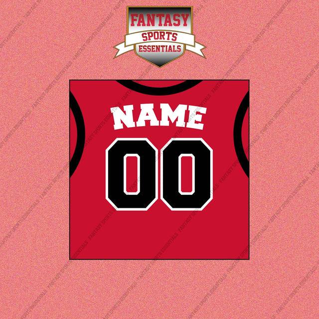 Toronto Raptors Personalized Current Home Jersey Wall Art Prints