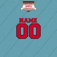 Toronto Raptors Personalized Current Name and Number Car Decals