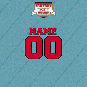 Toronto Raptors Personalized Current Name and Number Car Decals