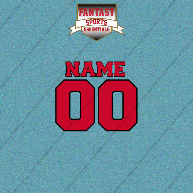 Toronto Raptors Personalized Current Name and Number Car Decals