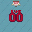 Washington Nationals Personalized Current Name and Number Car Decals