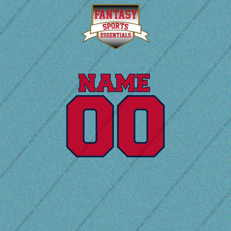 Washington Nationals Personalized Current Name and Number Car Decals