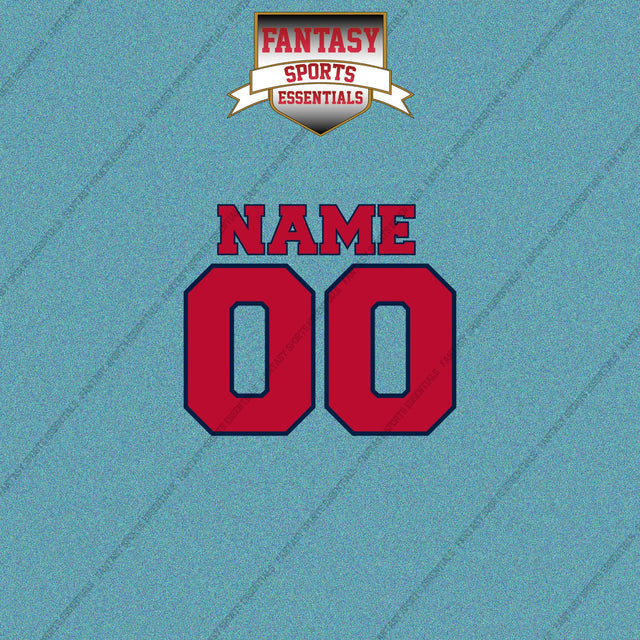 Washington Nationals Personalized Current Name and Number Car Decals