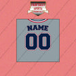 Washington Nationals Personalized Current Away Jersey Wall Art Prints