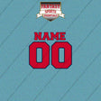 Washington Wizards Personalized Current Name and Number Car Decals