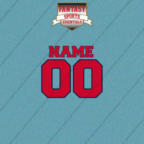 Washington Wizards Personalized Current Name and Number Car Decals