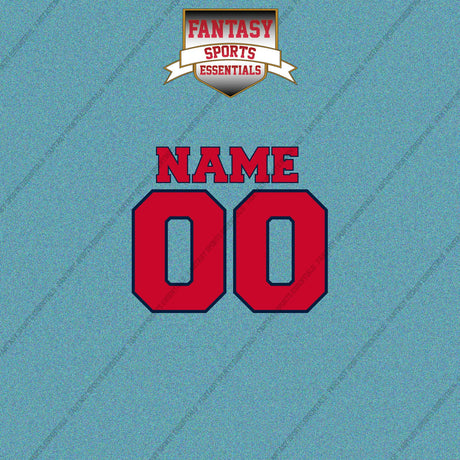 Washington Wizards Personalized Current Name and Number Car Decals